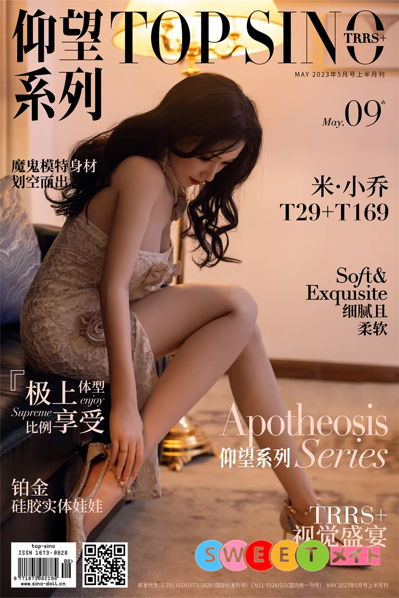 Top Sino T29 の写真 3