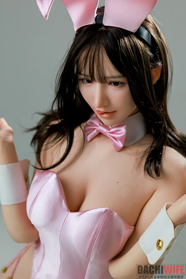 Top Sino T41 米菊 の写真 4