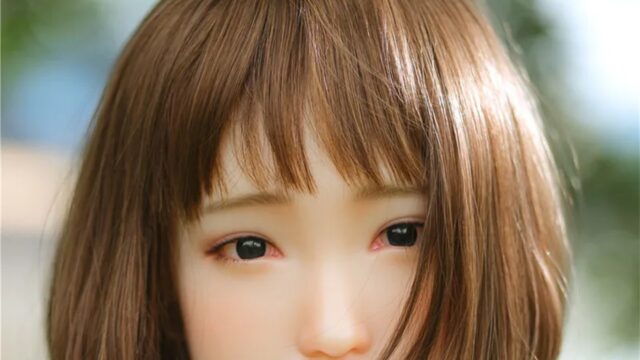Sino Doll S15｜161cm・ノーマル を1社で価格比較