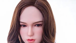 Sino Doll S34｜160cm・162cm・ノーマル を4社で価格比較