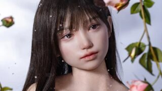 Top Sino T21C 米葵｜169cm・RRS+・アートワーク を4社で価格比較