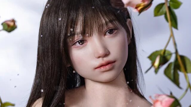 Top Sino T21C 米葵｜169cm・RRS+・アートワーク を4社で価格比較